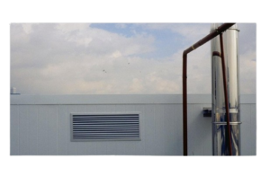 dmt-x.1_f-removebg-preview